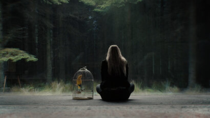 The Watchers